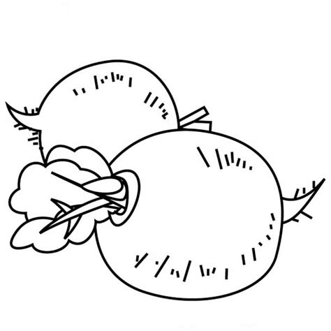 Children activities, more than 2000 coloring pages. Coloring Vegetables・Turnip