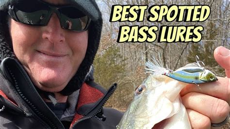 Best Spotted Bass Lures Bass Manager The Best Bass Fishing Page On