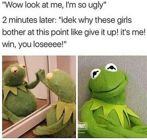 160 Best Kermit Memes Images On Pinterest Hilarious Funny Kermit