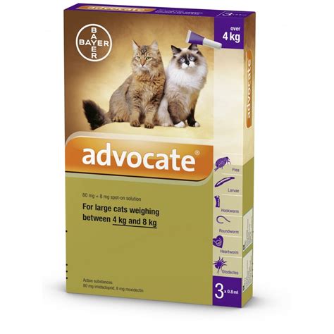 Advocate 80 Large Cat Pet Medicines And Food From Evans Pharmacy Uk