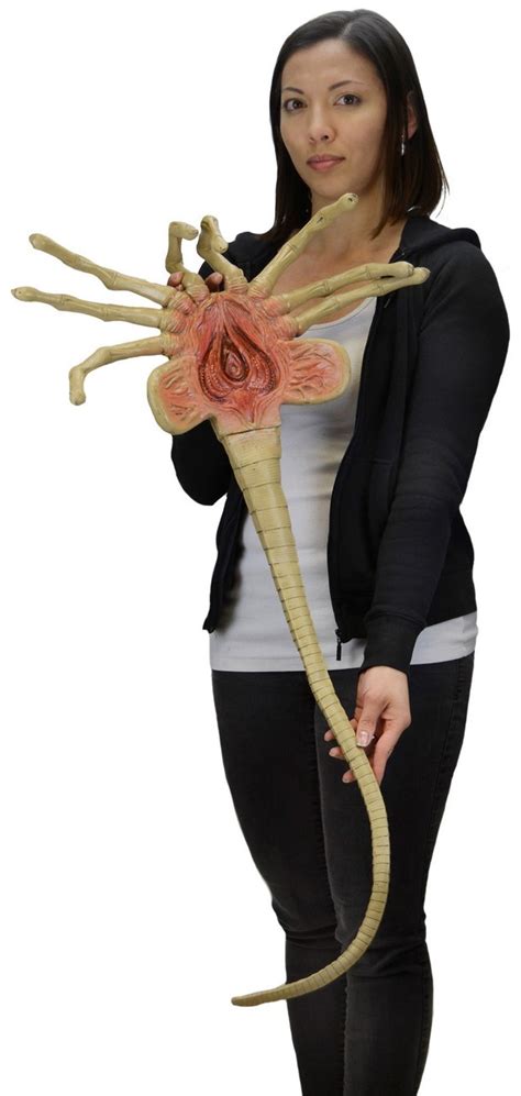 Aliens Facehugger Life Size Foam Replica At Mighty Ape Nz