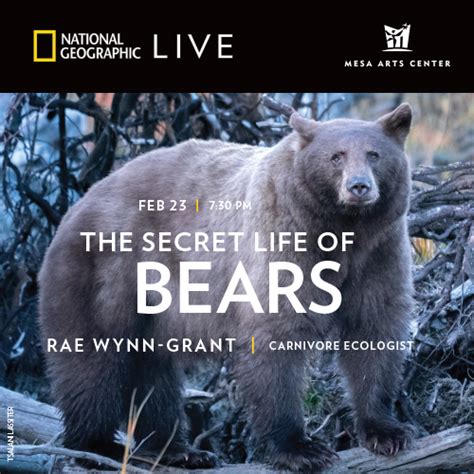 National Geographic Live The Secret Life Of Bears Mesa Arizona