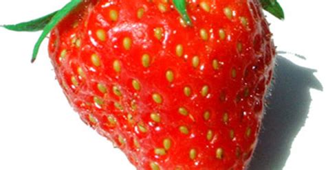50000 Strawberry Picking Robot To Go On Sale In Japan Cnet