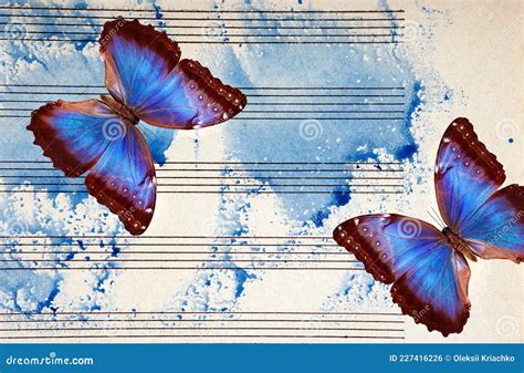 Morpho Blue Butterflies And Notes Butterfly Melody Photo Of Old Music