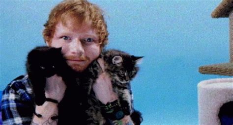 Ed Sheeran Ed Sheeran Ed Sheeran Love Kittens