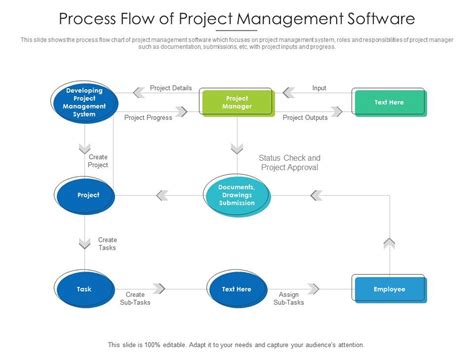 Process Flow Of Project Management Software Presentation Graphics
