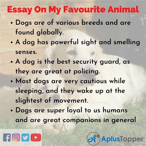 Essay On My Favourite Animal My Favourite Animal Essay For Students