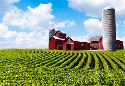 Ontario Farm Insurance, Ontario Crop Insurance