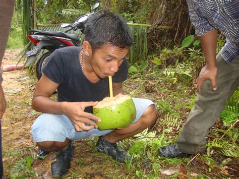Air kelapa diminum ketika musim panas, memang menyegarkan. Apakah Air Kelapa Memiliki Efek Magis Pada Kesehatan? Apa ...