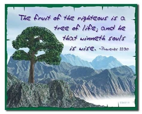 Biblical Tree Of Life Pictures Tree Pictures With Scripture Verses