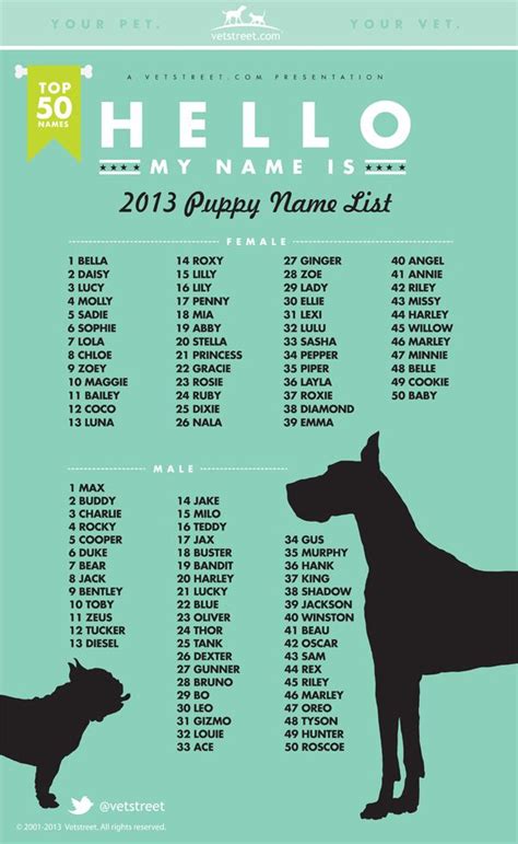 Finding The Best Names For Dogs Chasing Dog Tales Puppy Names Dog