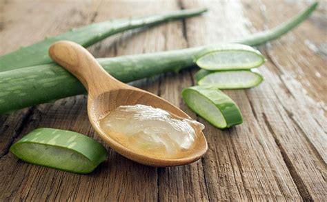 All you have to do to experience this technology for yourself is eat aloe vera gel! ALOE VERA GEL 100% PURE NATURAL NO COLOR