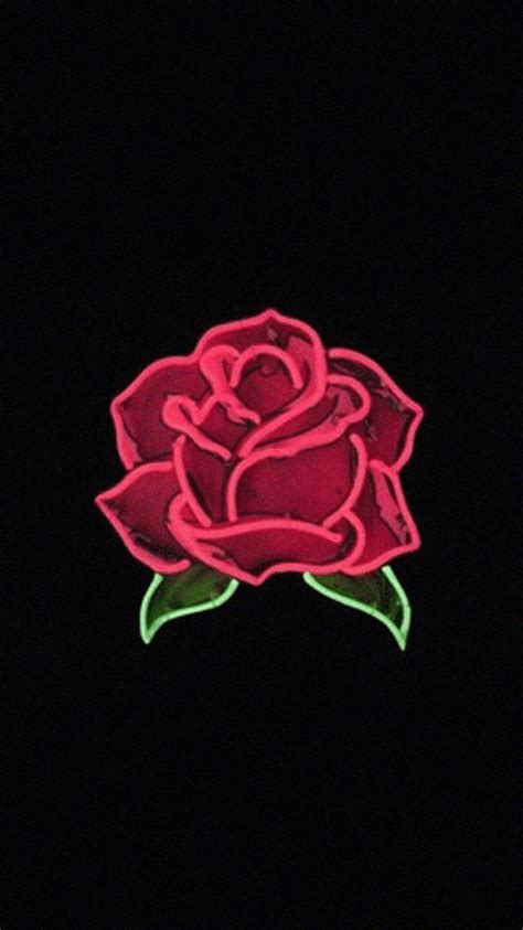 Cute Aesthetic Rose Wallpapers Top Free Cute Aesthetic Rose