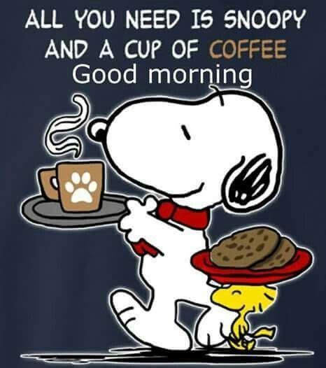 Snoopy A Cup Of Coffee And Good Morning Pictures Photos And Images