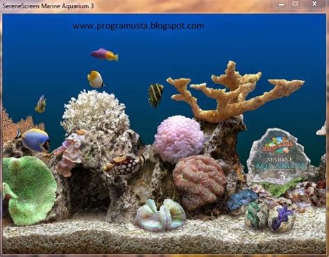 Serenescreen Marine Aquarium Full İndir Ekran Koruyucu V336041