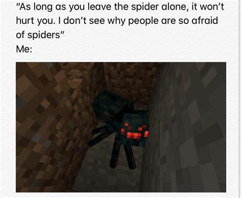 Minecraft Spider Meme