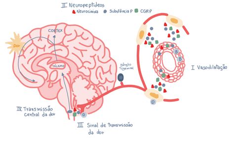 O Q é Fisiopatologia