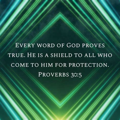 Proverbs 30 5 Every Word Of God Proves True He Is A Shield To All Who