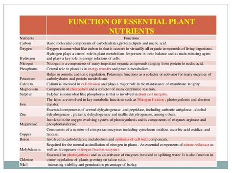 Essential Plant Nutrientsppt