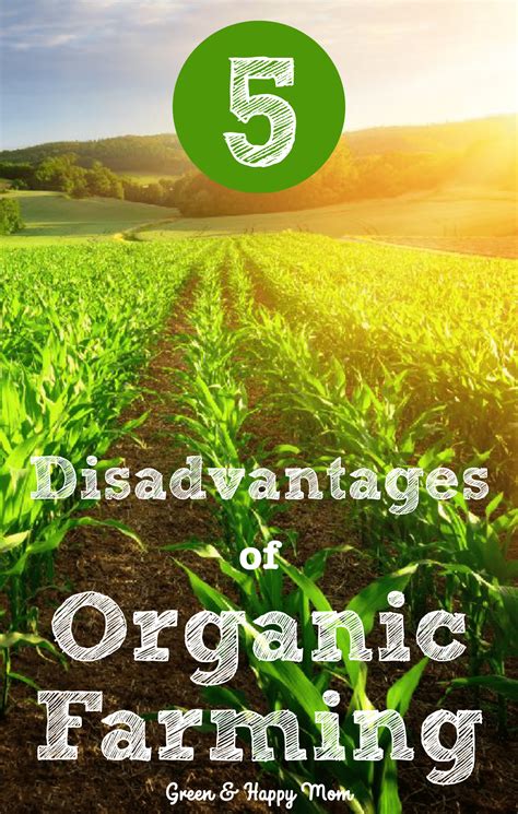 5 Disadvantages of Organic Farming | Organic farming, What is organic farming, Organic