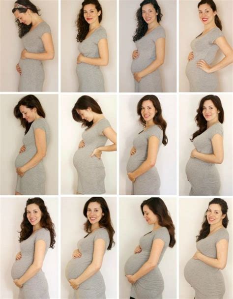Babybauchfotos Selber Machen Tipps Zeitraffer Schwangerschaft Monate Babybauch Fotos