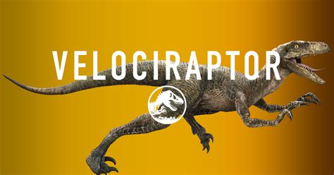Neurodojo Leader Of The Pack Fleshing Out Velociraptor Behaviour In Jurassic World