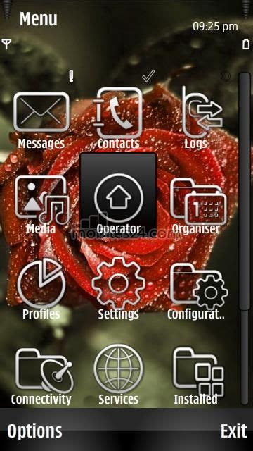 Red Rose Free Symbian S60 5th Edition 360x640 Theme Download Download
