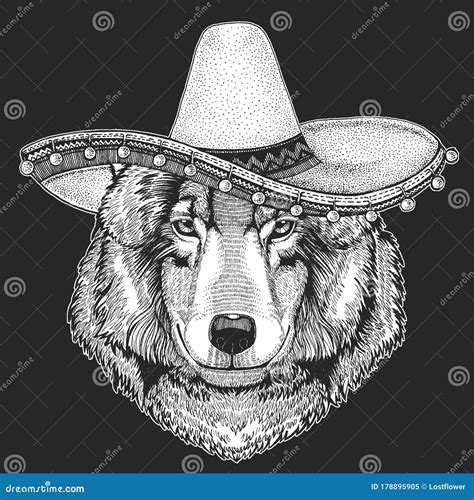 Wolf Portrait Sombrero Is Traditional Mexican Hat Mexico Head Of