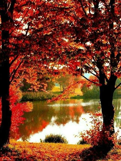 Pin By Marie Short On Country Scenes Autumn Scenery Fall Pictures