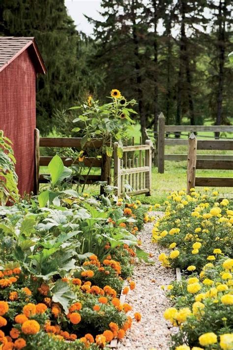 19 Cutie Garden Cozy Comfy Chill Ideas You Should Look Sharonsable