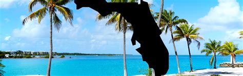Florida Credit Repair Laws- Credzu