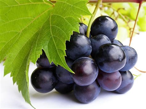 The Curative Properties Of Grapes Healthy Food House