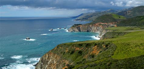 California Coast Vital To Pacific Oceans Top Predators Kpbs