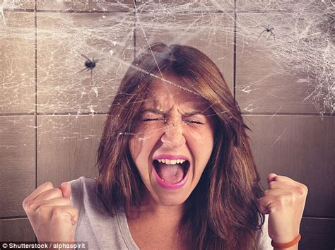 Could This Be The Way To Cure A Spider Phobia Daily Mail Online
