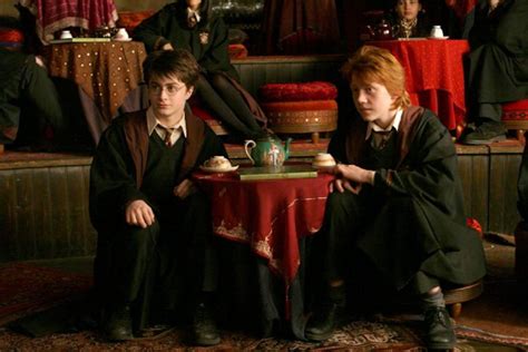Harry And Ron Harry Potter Photo 2255025 Fanpop