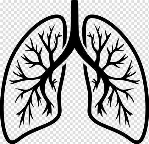 Lung Computer Icons Breathing Organ Human Lungs Transparent Background