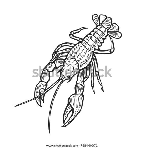 Hand Drawn Marine Lobster Omar Cancer Stock Vector Royalty Free 768440071