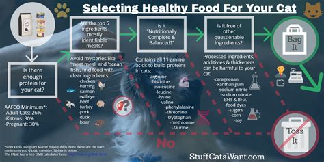 Wet (canned) food is beneficial for cats because it provides. Dry vs Wet Cat Food - Which is the Winner?