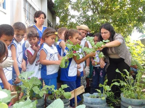 G1 Projeto De Horta Escolar Incentiva Educação Ambiental Em Maceió