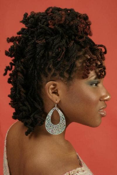 Curly Braided Hairstyle Black Hairstyles