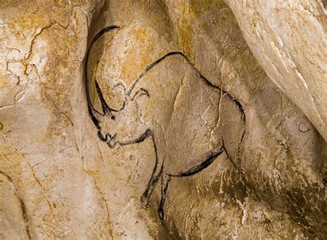 Le site comporte 420 représentations d'animaux. Visiter virtuellement la grotte Chauvet - La Hutte des Classes
