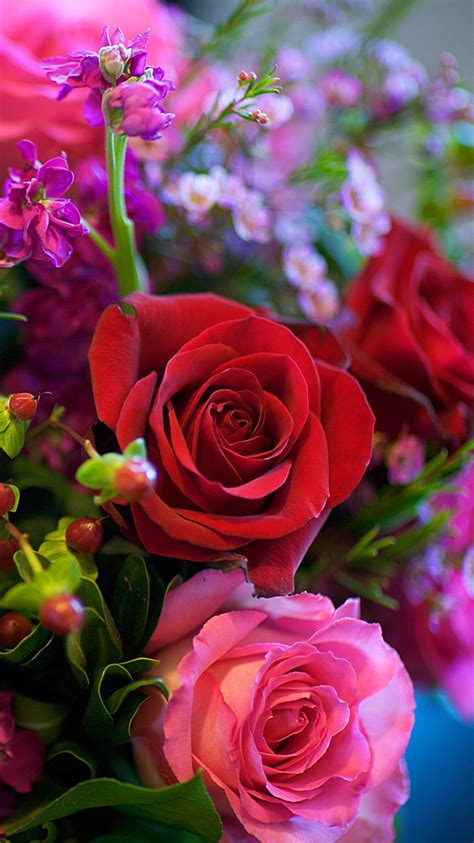 Rose Flower Wallpaper For Mobile Phone Best Flower Site