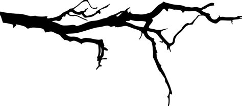 24 Spooky Tree Branch (PNG Transparent) | OnlyGFX.com Halloween scary tree png clip art image is part of halloween png pictures the image is transparent png format with a resolution of 6548x8000 pixels, suitable for design use.