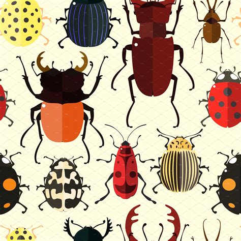 Vector Bugs Bugs Drawing Insect Art Spider Illustration