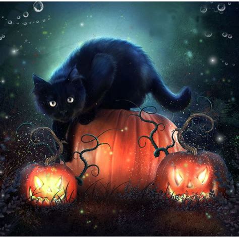 Black Cat By Enchantedwhispersart On Deviantart Black Cat Art Cat