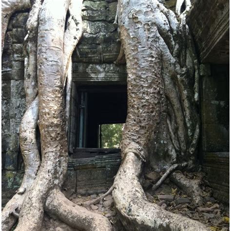 Angkor Wat Outta This World Amazing