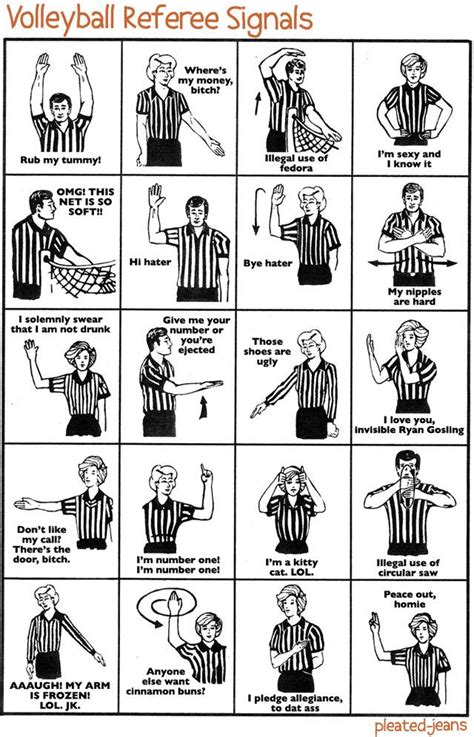 Check spelling or type a new query. Volleyball Referee Signals