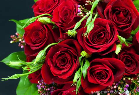 Download high quality flower pictures for your mobile, desktop or website. Valentines Day | Download Photos