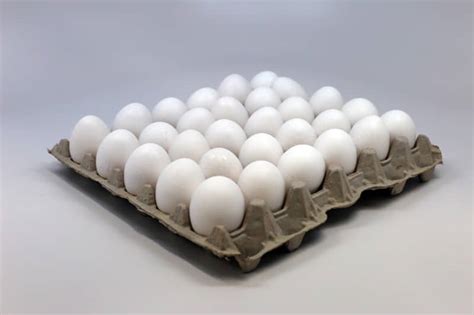 15 Dz Extra Large White Eggs