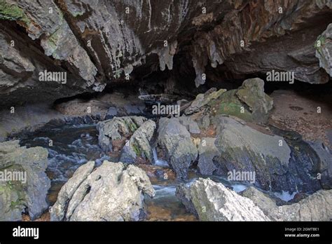 Honeycomb Cave Mole Creek Karst National Park Stock Photo Alamy